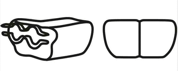 Exhaust Pipe (VOR-205)