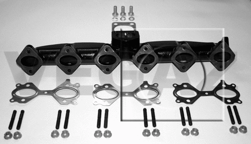 Manifold, exhaust system (BAK-290)