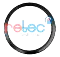 Seal Ring, exhaust pipe (BD-143)