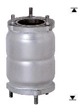 Catalytic Converter (DAK-915)