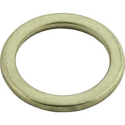 Seal Ring, exhaust pipe (TD-107)