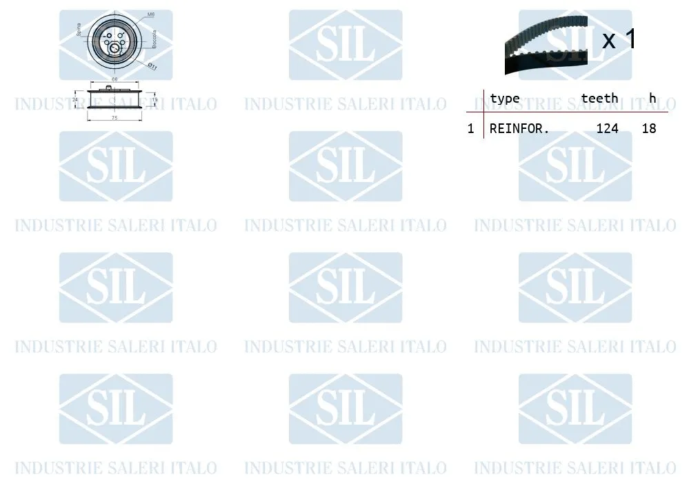 Timing Belt Kit
