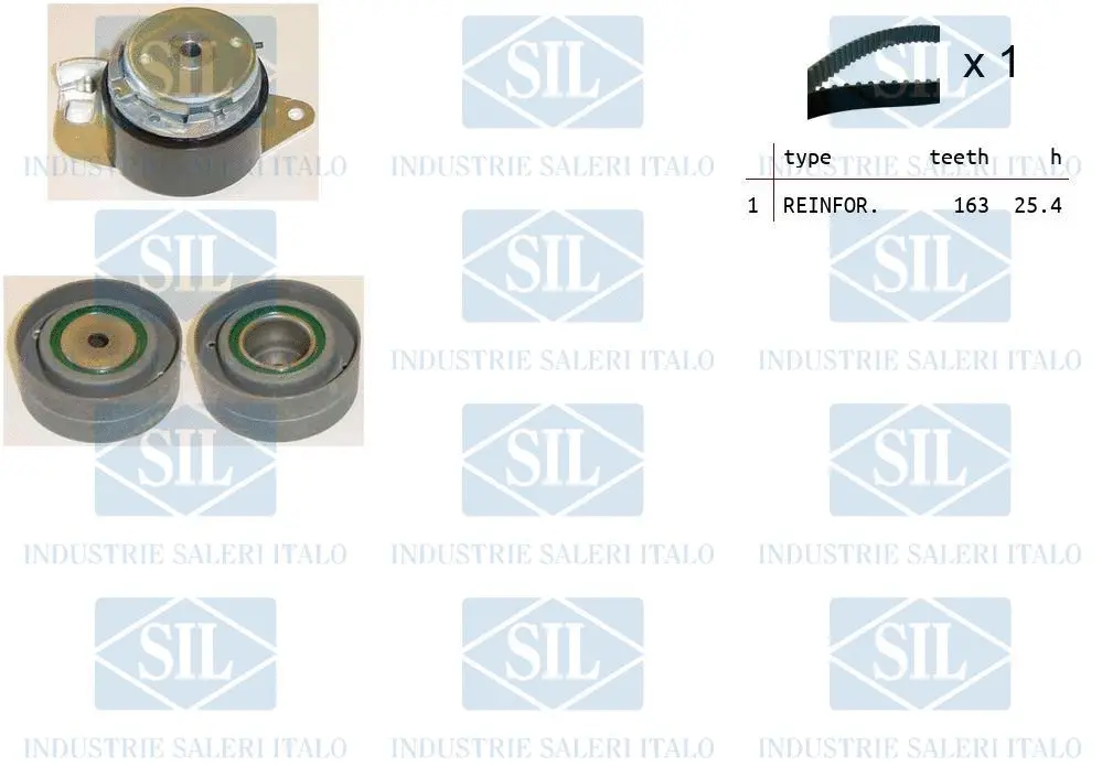 Timing Belt Kit (TK1100)