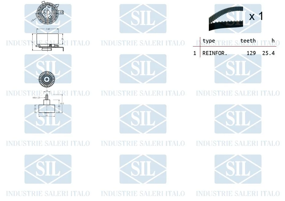 Timing Belt Kit