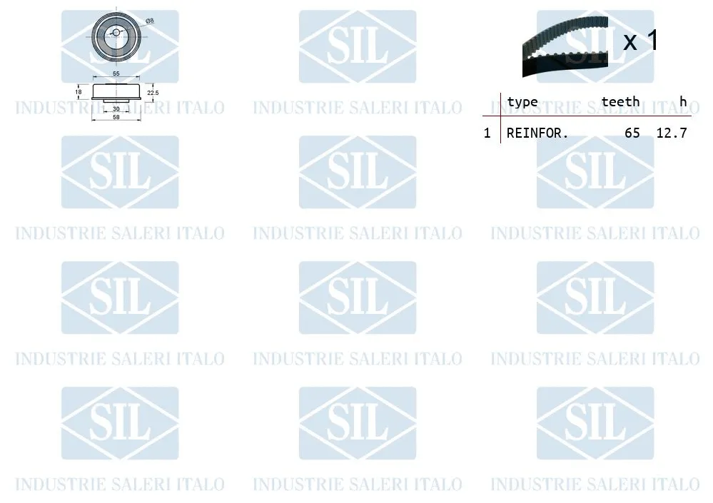 Timing Belt Kit