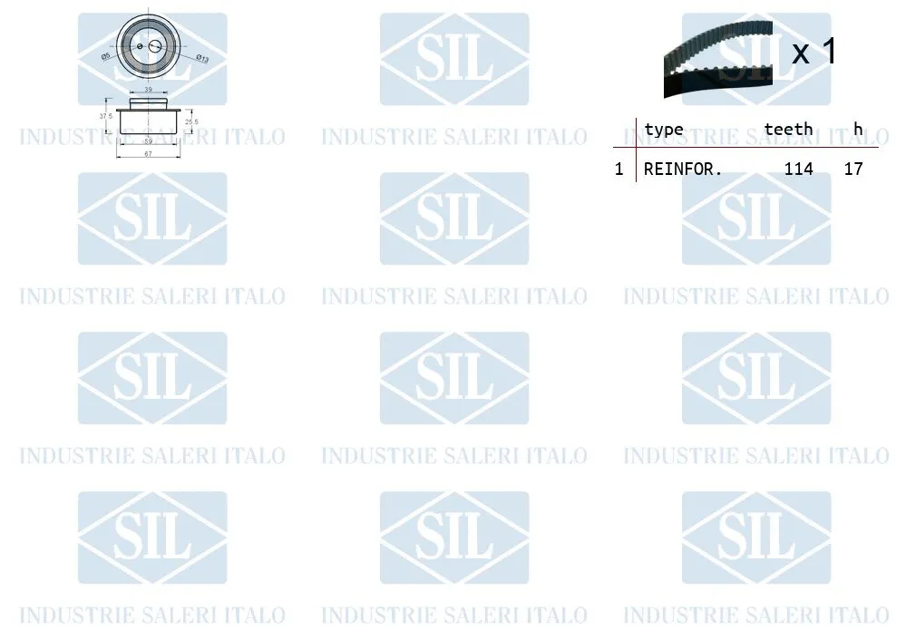 Timing Belt Kit