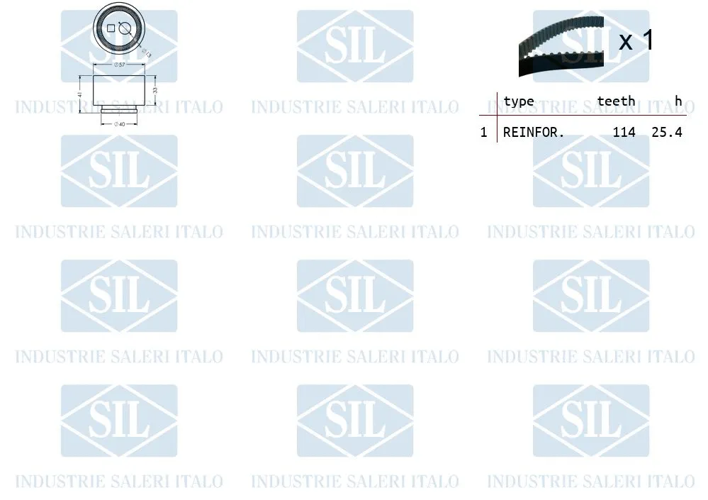 Timing Belt Kit