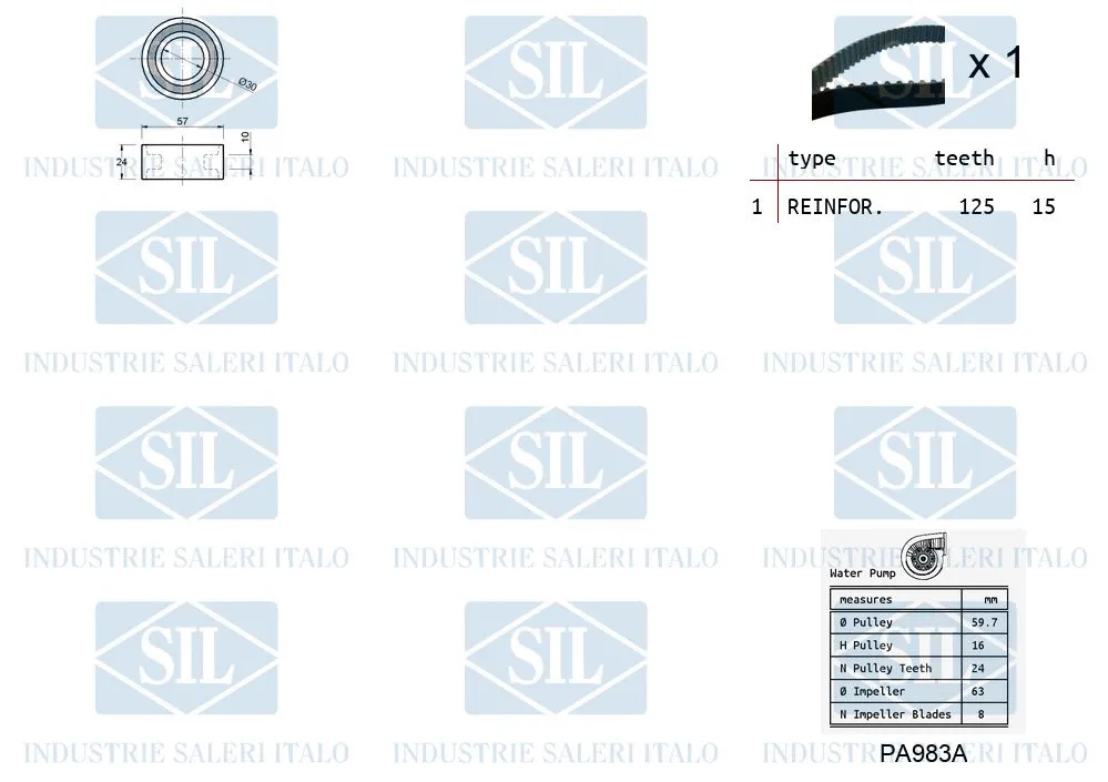 Water Pump & Timing Belt Kit