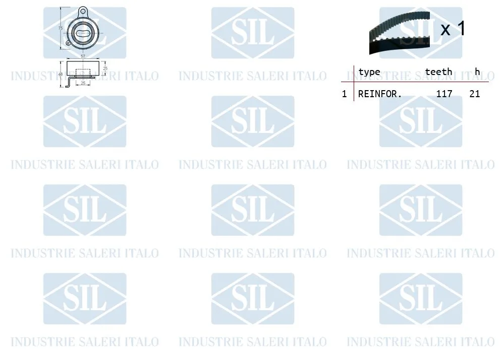 Timing Belt Kit