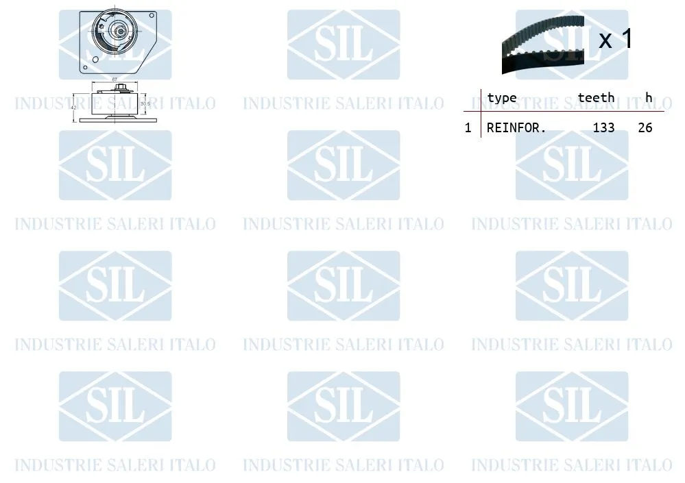 Timing Belt Kit