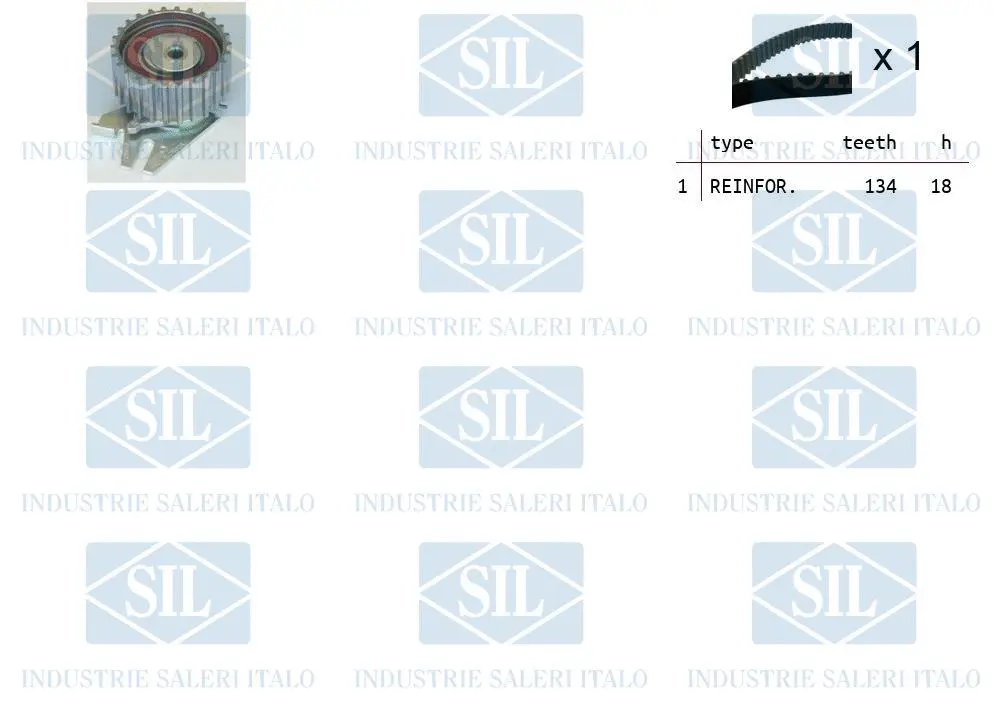 Timing Belt Kit (TK1098)
