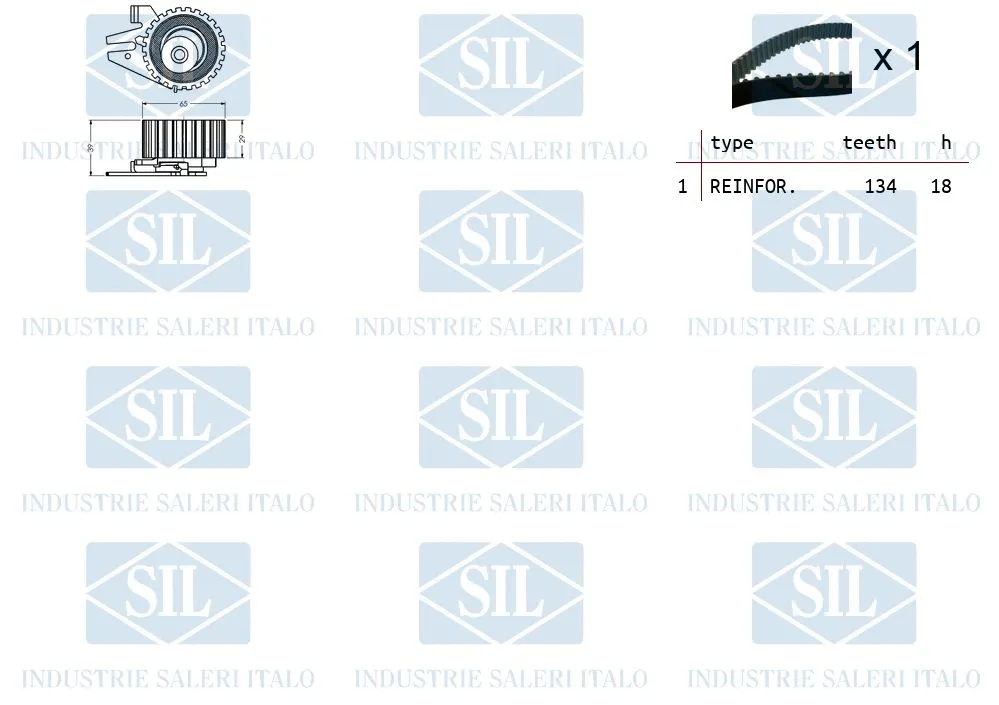 Timing Belt Kit