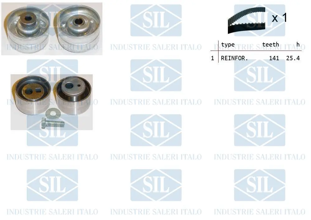 Timing Belt Kit (TK1134)