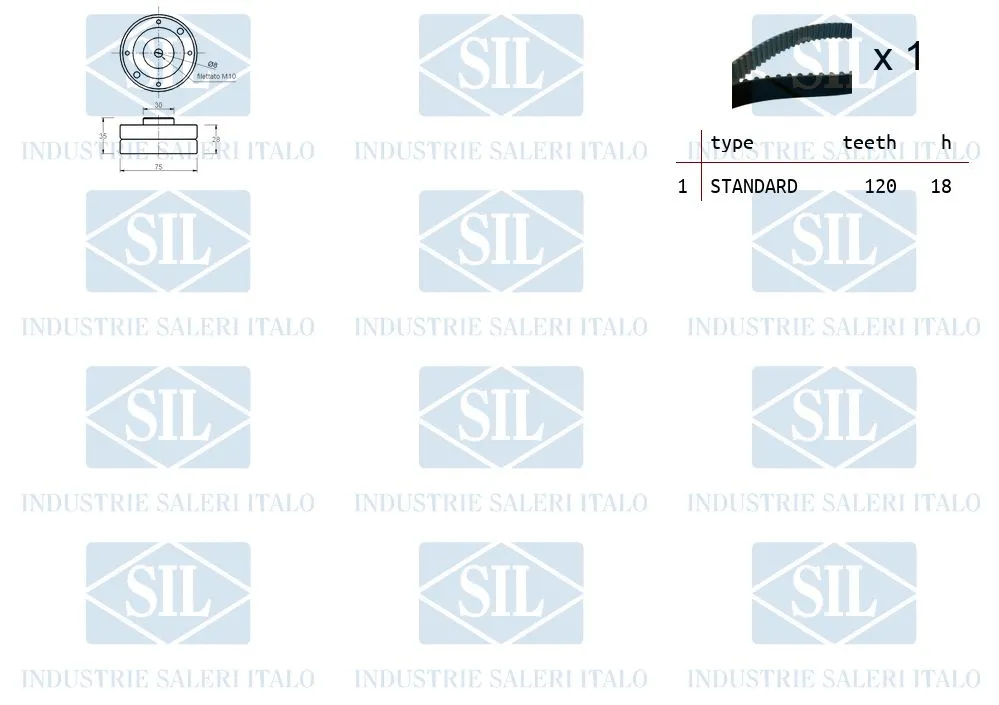 Timing Belt Kit