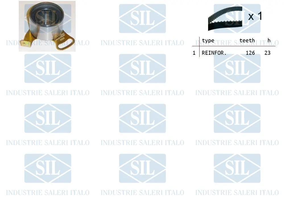 Timing Belt Kit (TK1081)