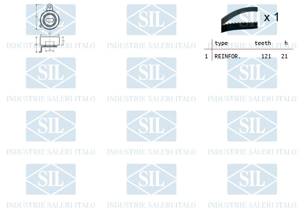 Timing Belt Kit