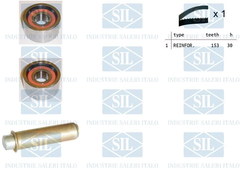 Timing Belt Kit (TK1393)