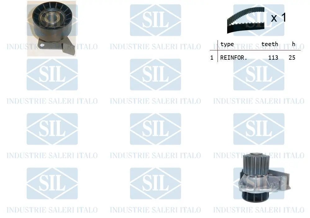 Water Pump & Timing Belt Kit (K1PA1738)