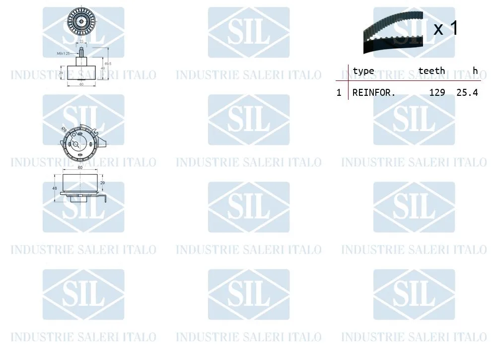 Timing Belt Kit