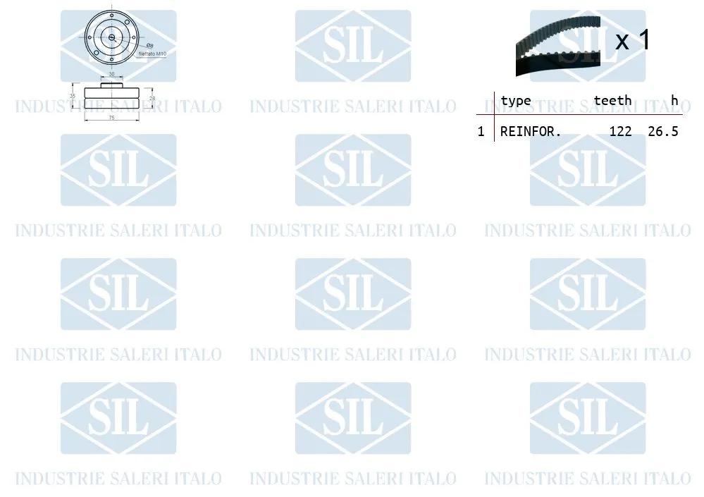 Timing Belt Kit