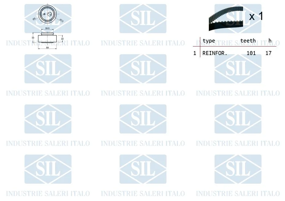 Timing Belt Kit