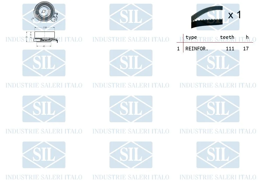 Timing Belt Kit