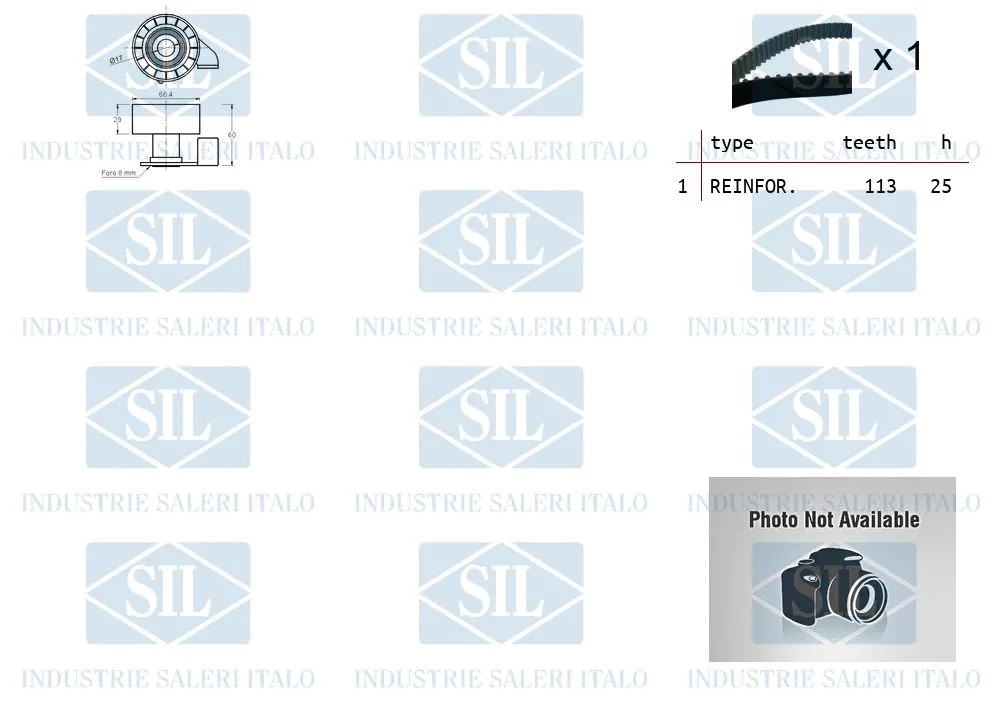 Water Pump & Timing Belt Kit