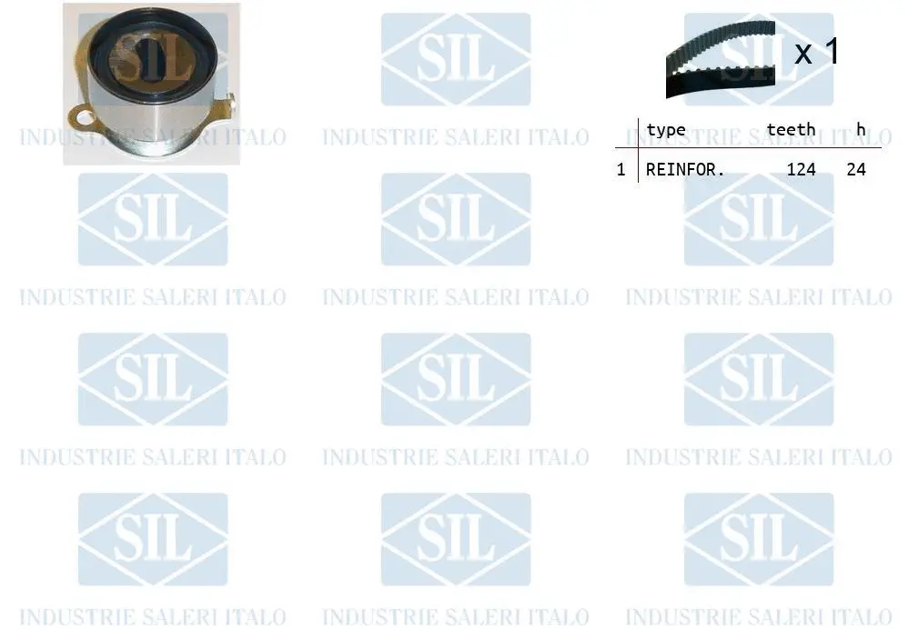 Timing Belt Kit (TK1079)