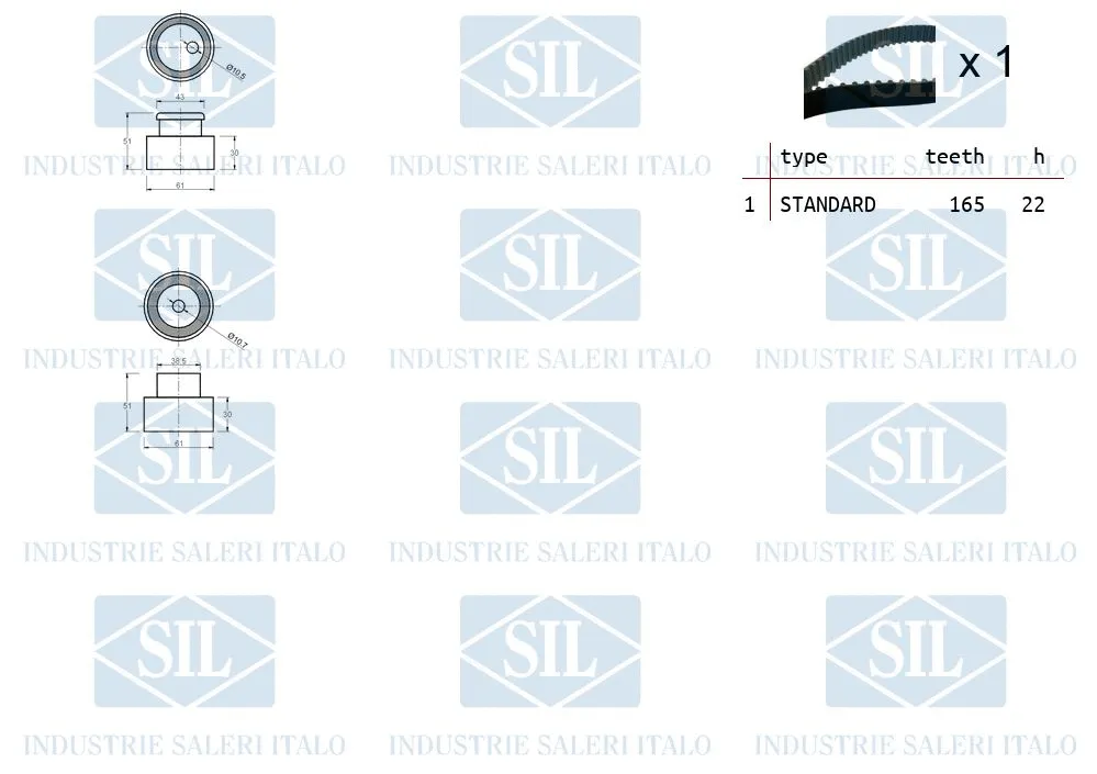 Timing Belt Kit