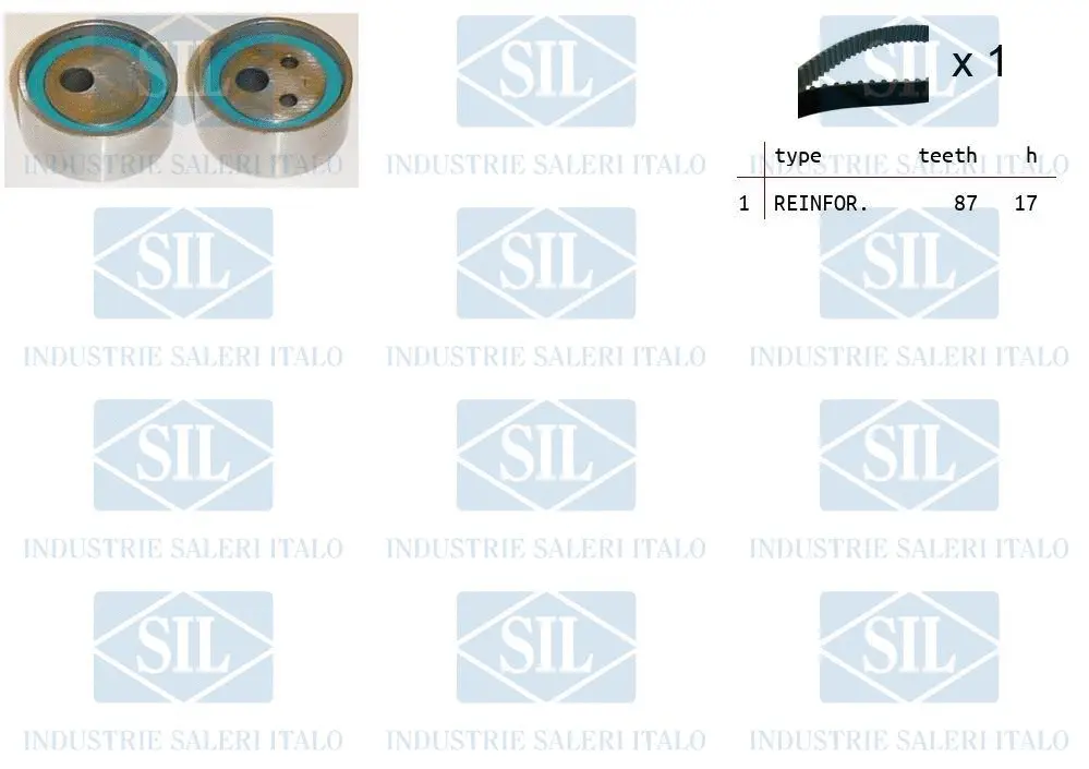 Timing Belt Kit (TK1010)