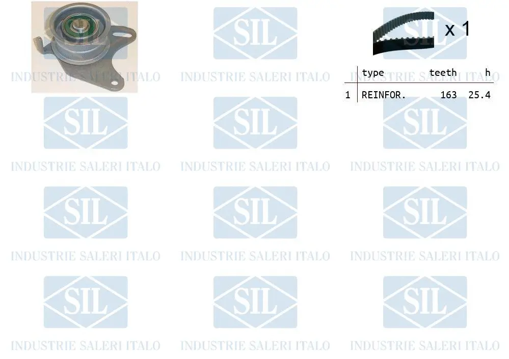 Timing Belt Kit (TK1456)