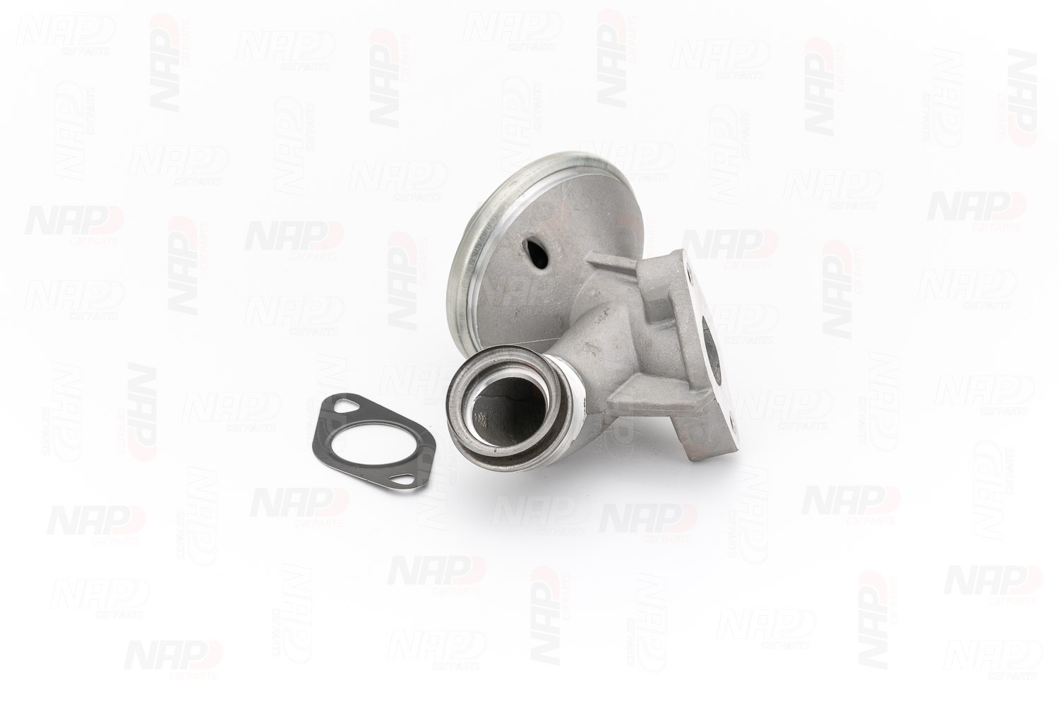 EGR Valve (CAV10080)