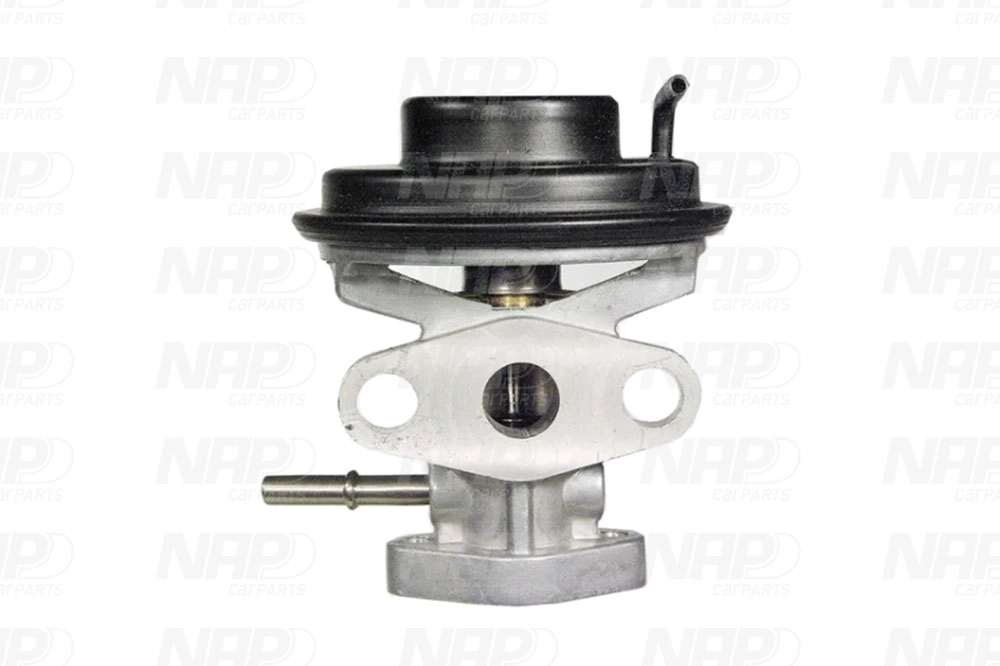 EGR Valve (CAV10092)