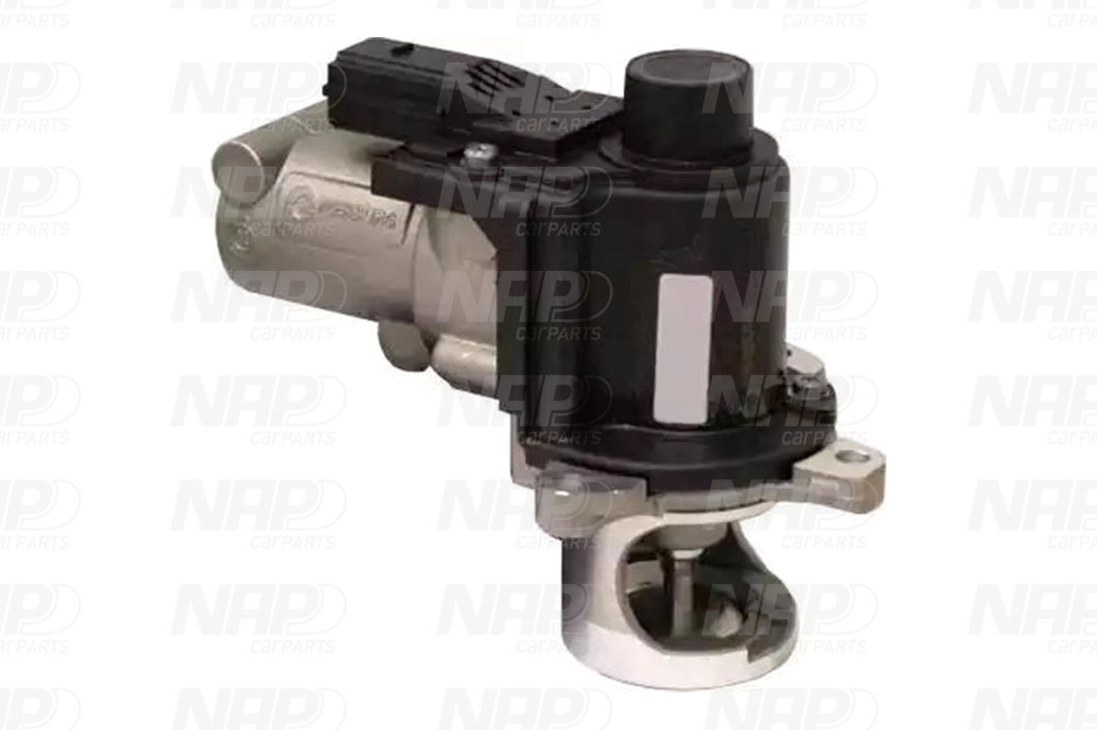 EGR Valve (CAV10073)
