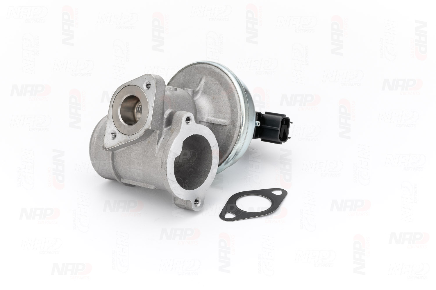 EGR Valve (CAV10039)