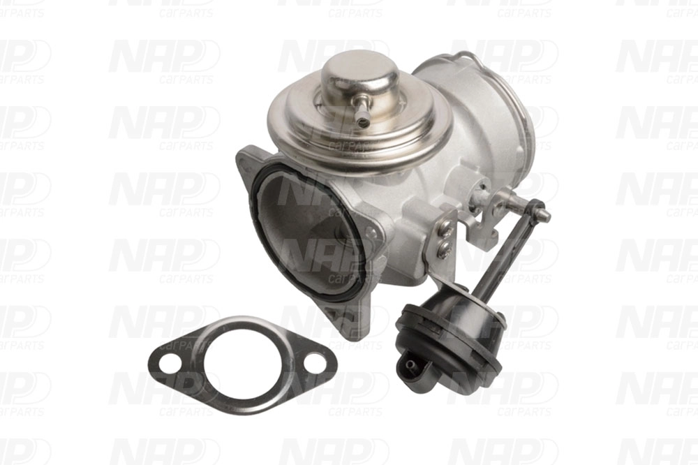 EGR Valve (CAV10051)