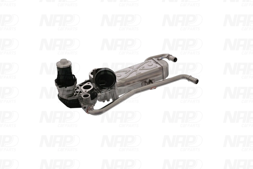 EGR Valve (CAV10119)