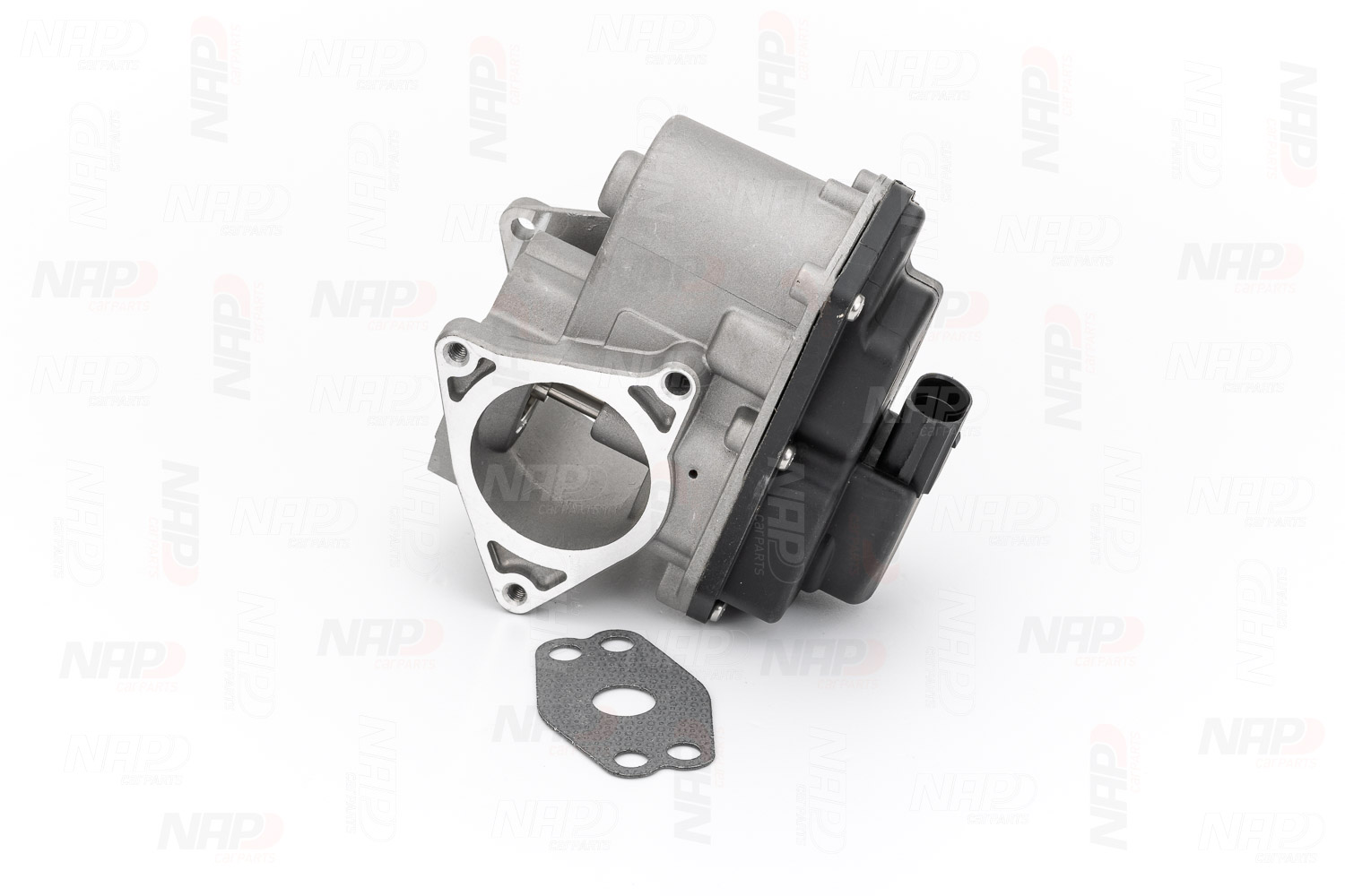 EGR Valve (CAV10071)