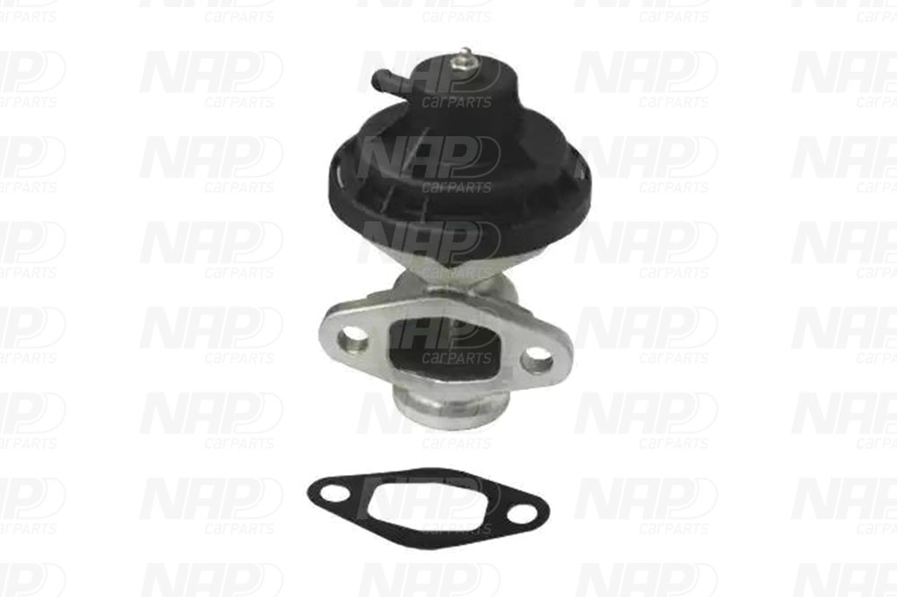 EGR Valve (CAV10091)