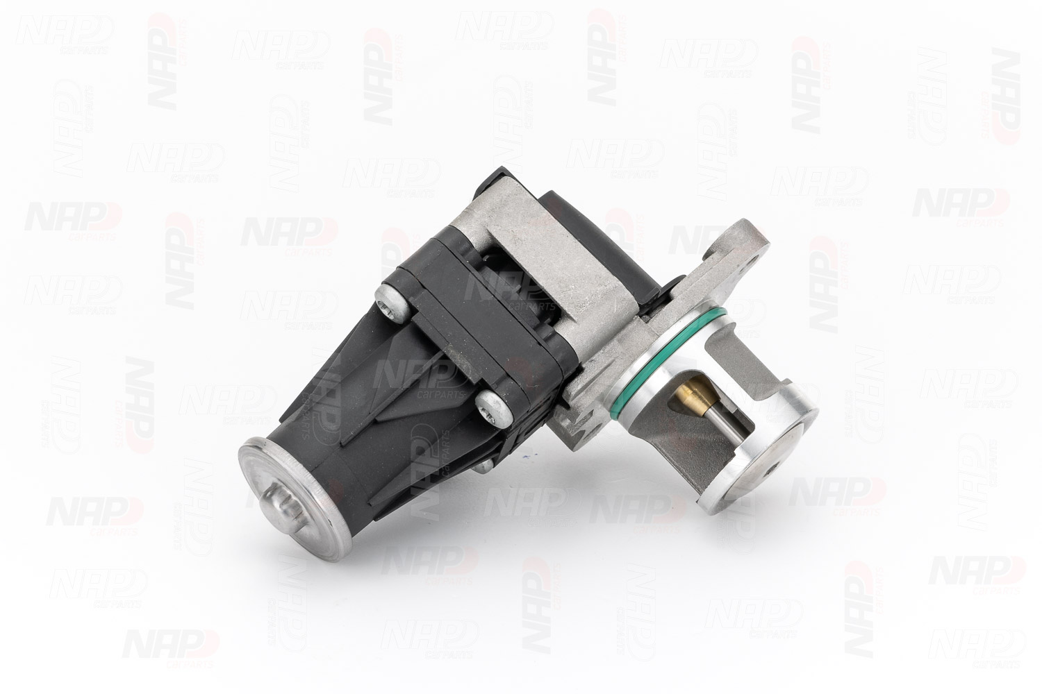 EGR Valve (CAV10154)