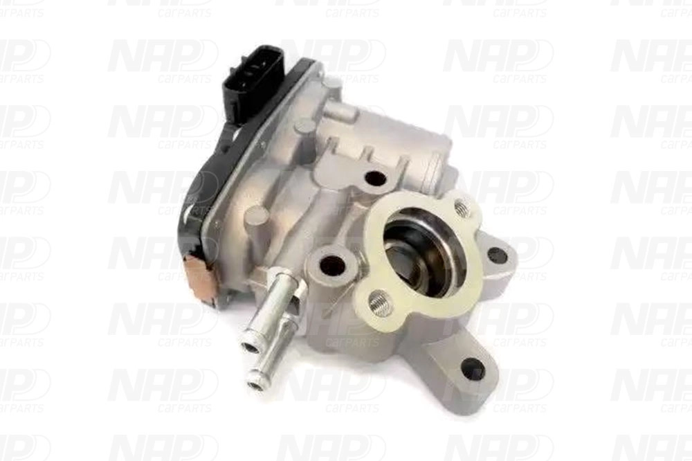 EGR Valve (CAV10077)
