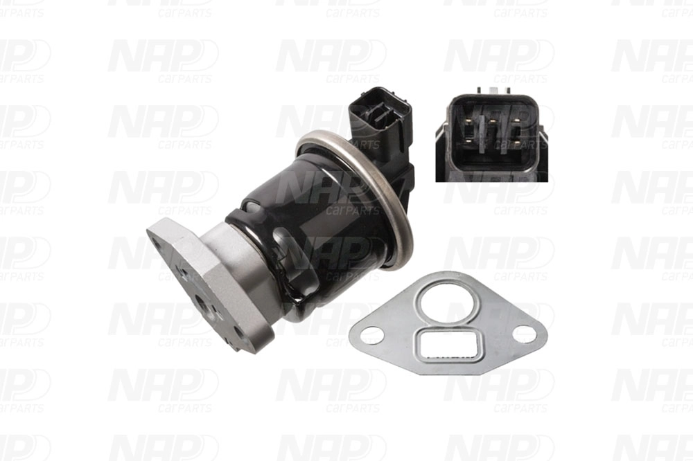 EGR Valve (CAV10107)