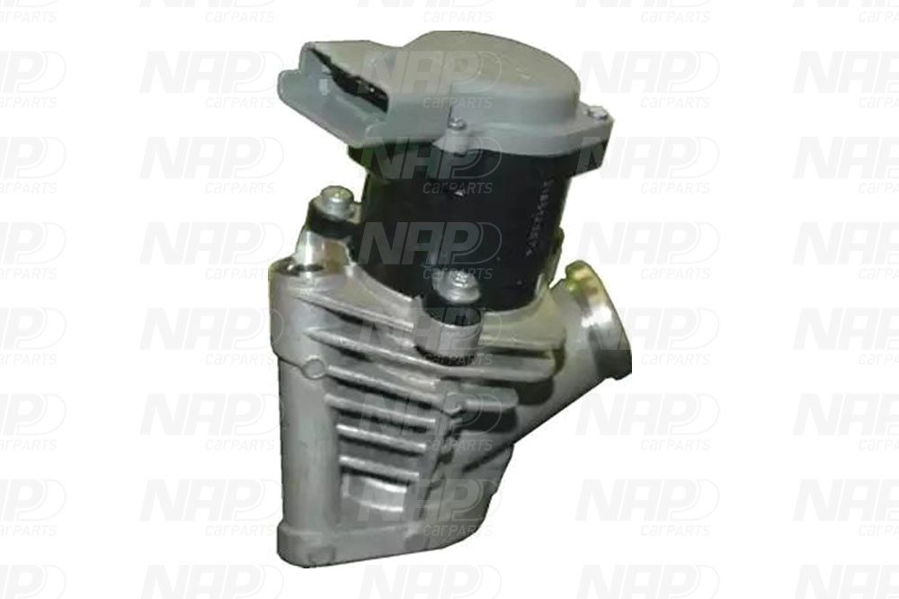 EGR Valve (CAV10129)