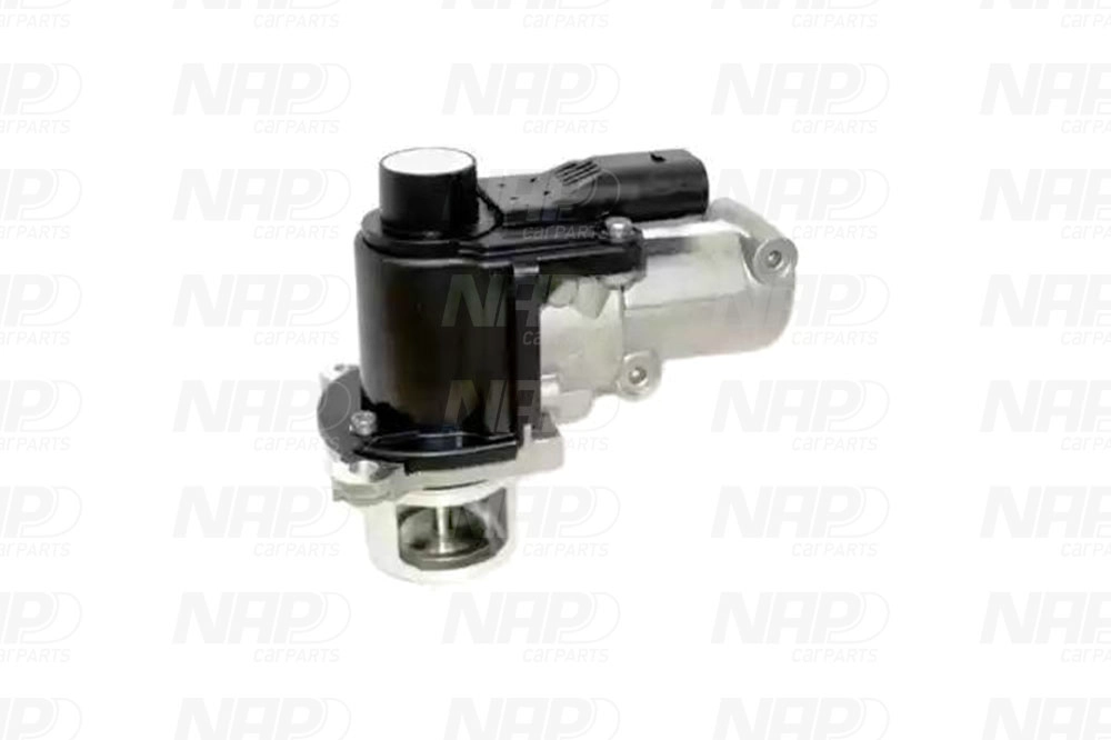 EGR Valve (CAV10126)