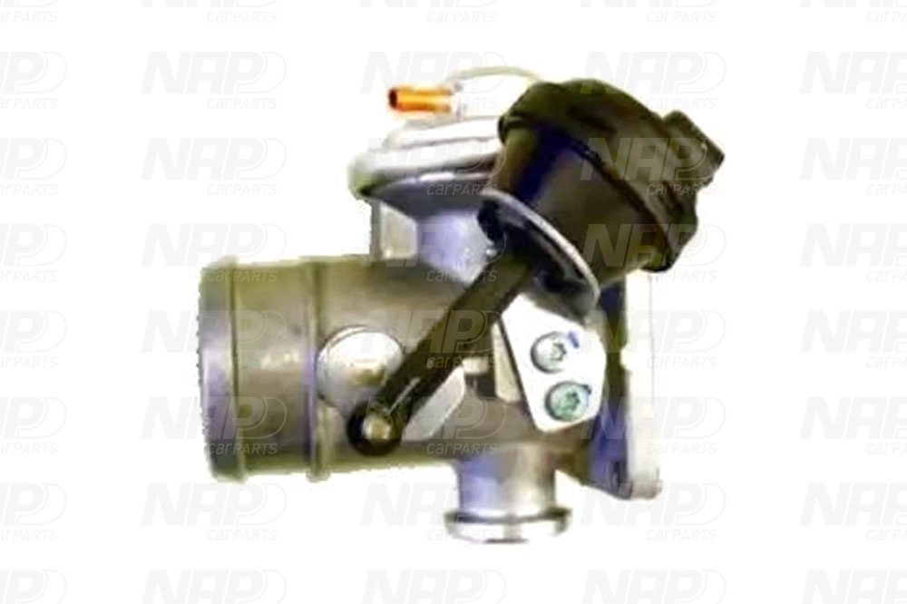 EGR Valve (CAV10086)