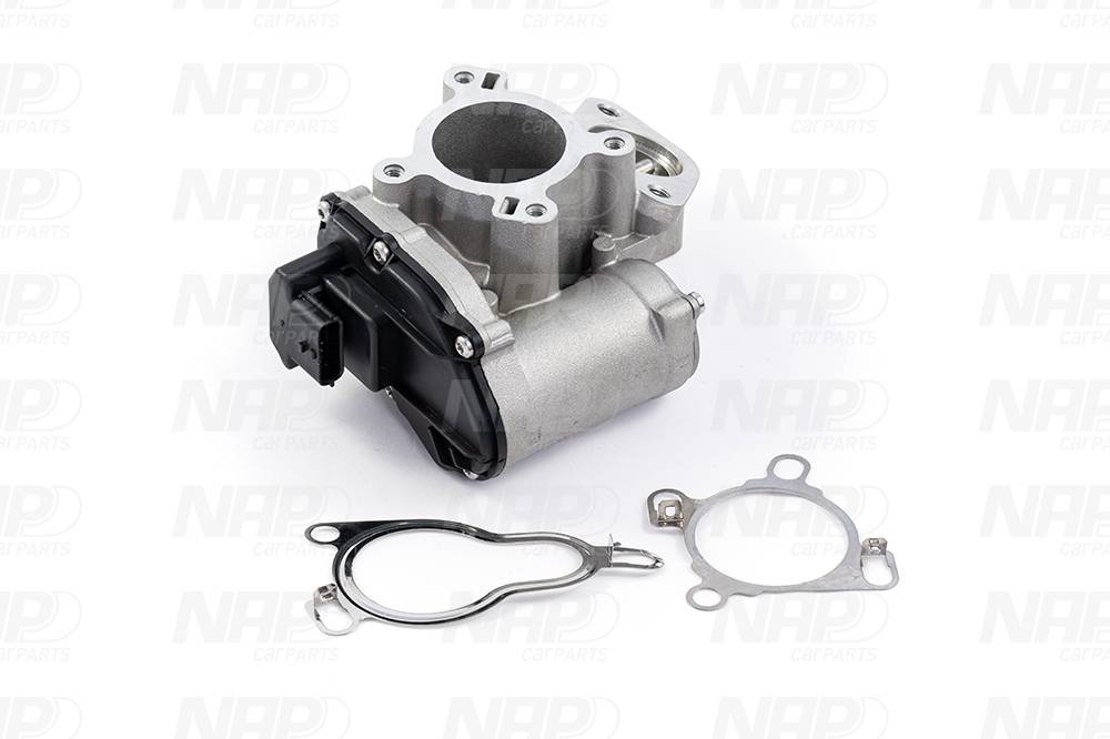 EGR Valve (CAV10153)