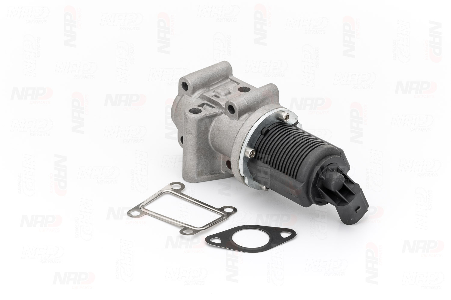 EGR Valve (CAV10029)