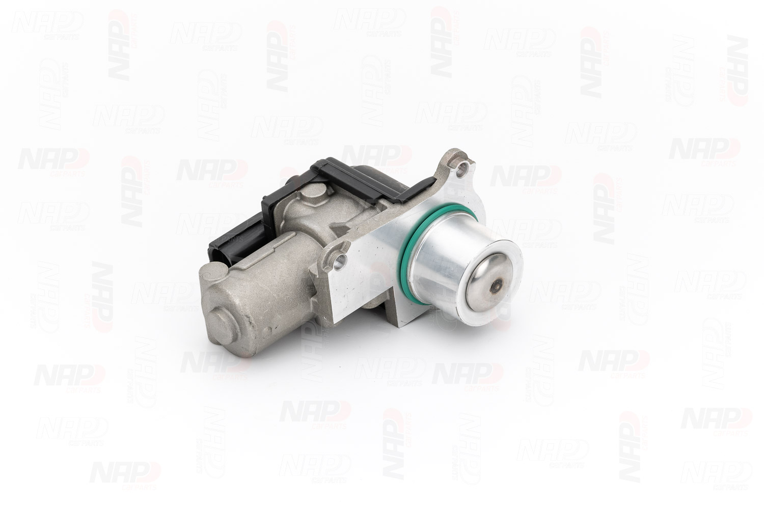 EGR Valve (CAV10124)