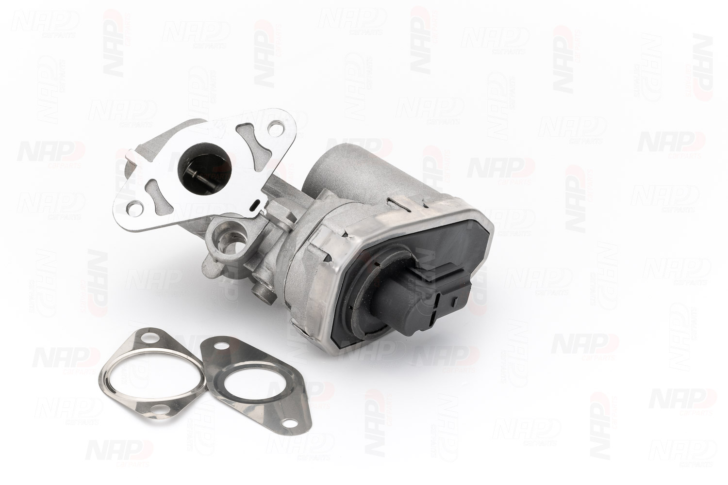 EGR Valve (CAV10055)