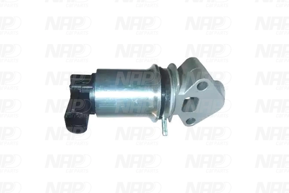 EGR Valve (CAV10033)